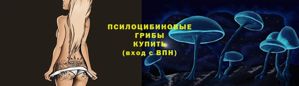 спиды Алексеевка
