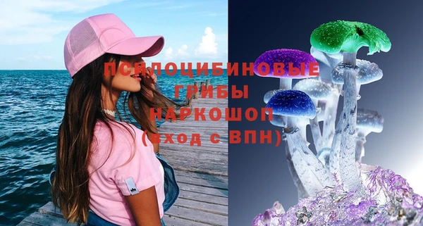 спиды Алексеевка