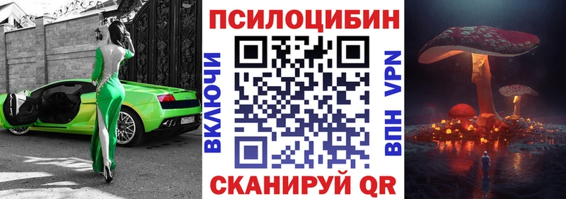 Псилоцибиновые грибы Psilocybe Вилючинск